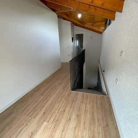 Willa Hans & Hanna's *