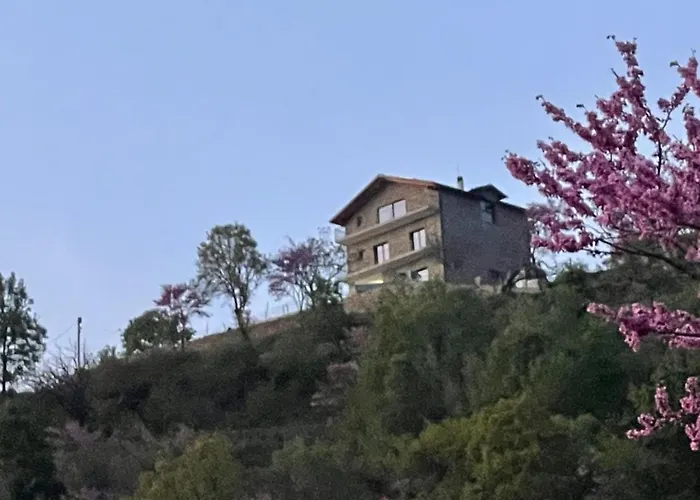 Hans & Hanna's * Tepelene